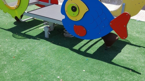 מרומי שדה 11 (4).jpeg