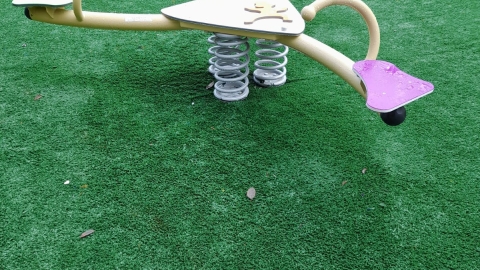 1242570.jpeg