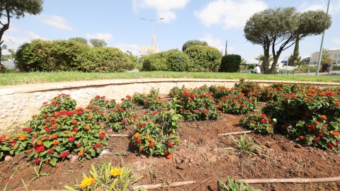 כיכר מעלות שמחה אבני נזר.JPG