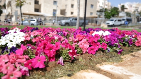 כיכר בית שמאי נאות הפסגה.JPG