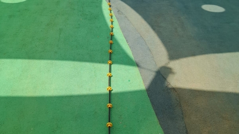 1460932.jpeg
